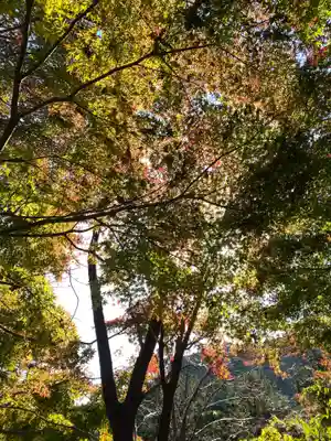 金毘羅社(東京都)