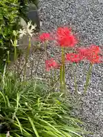 梅香寺(三重県)