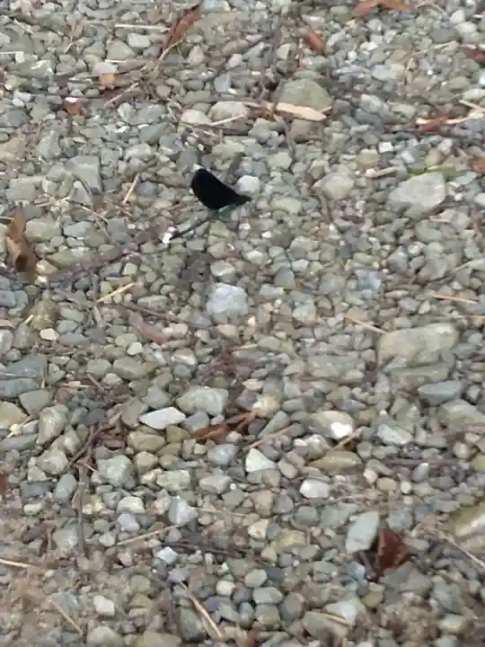 子眉嶺神社(福島県)