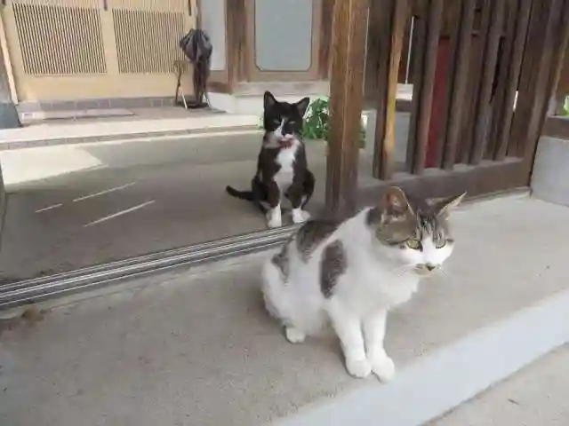 妙雲寺(岐阜県)