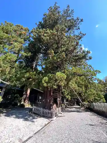 仁科神明宮(長野県)