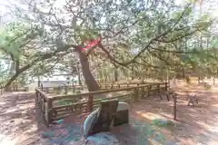 羽車神社(静岡県)