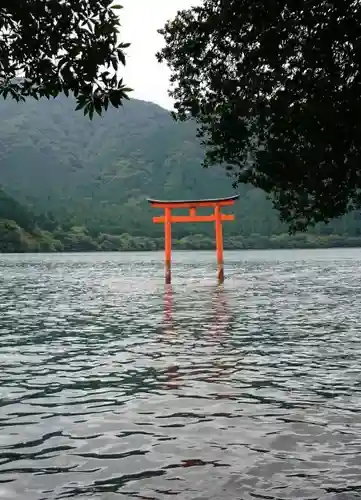 箱根神社の鳥居