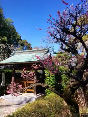 布多天神社(東京都)