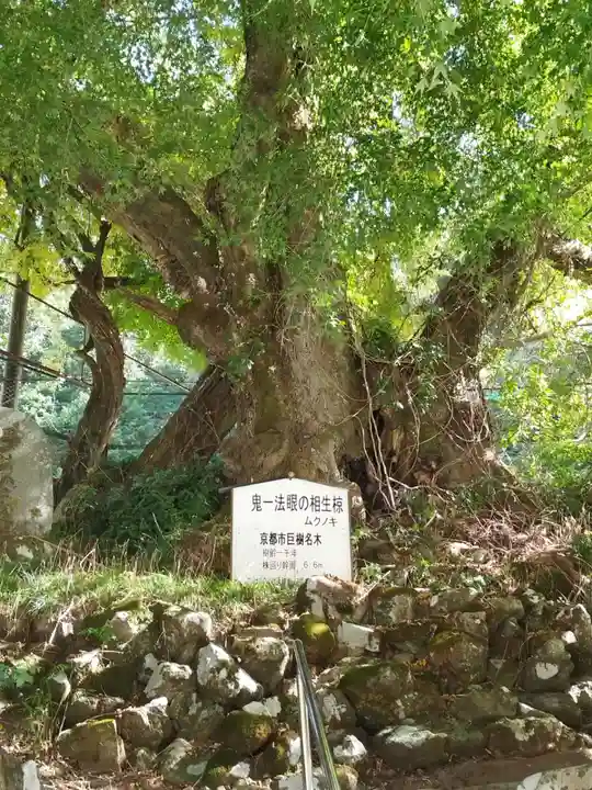 石寄社(京都府)