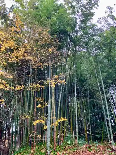太平山三吉神社総本宮(秋田県)