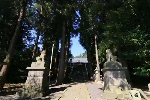 豊景神社の狛犬