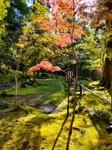 西明寺の庭園