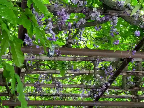 笠間稲荷神社(茨城県)