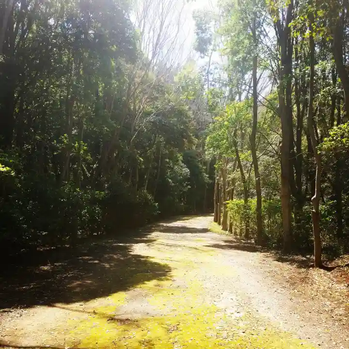 鹿島神宮の自然