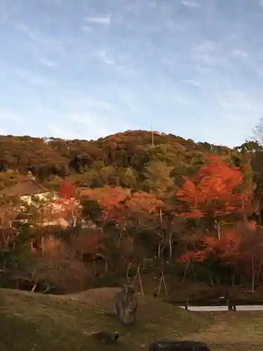 高台寺（高台寿聖禅寺・高臺寺）(京都府)