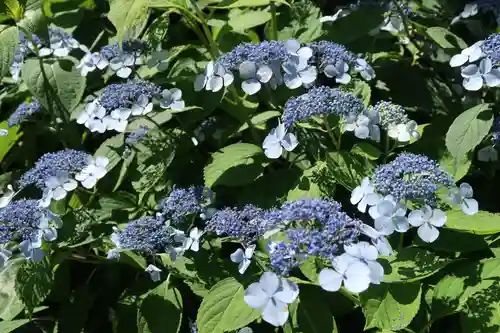 性海寺(愛知県)