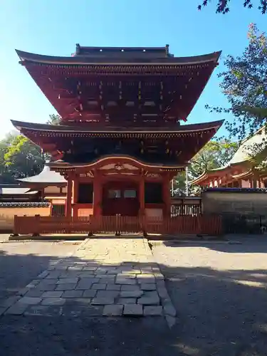 薦神社(大分県)