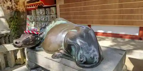 太宰府天満宮(福岡県)