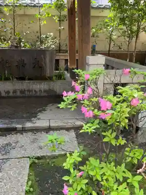 小野照崎神社の{uncategorized: "未分類", other: "その他", undefined: "問題あり", building: "その他建物", grave: "お墓", sacred_gate: "鳥居", guardian: "狛犬", statue: "像", buddha: "仏像", history: "歴史", nature: "自然", garden: "庭園", animal: "動物", pagoda: "塔", temizu: "手水舎", mountain_gate: "山門・神門", sanctuary: "本殿・本堂", subordinate: "末社・摂社", art: "芸術", scenery: "景色", jizo: "地蔵", ema: "絵馬", goshuin: "御朱印", omikuji: "おみくじ", items: "授与品その他", amulet: "お守り", goshuincho: "御朱印帳", eats: "食事", festival: "お祭り", votive_dance: "神楽", shichigosan: "七五三参", wedding: "結婚式", experience: "体験その他", initially: "初詣", around: "周辺", anti_infection: "感染症対策"}