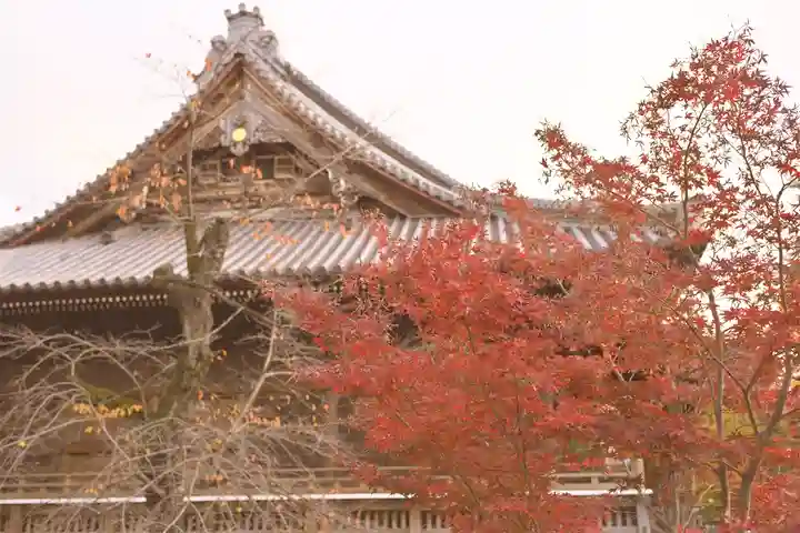 寛永寺(根本中堂)(東京都)