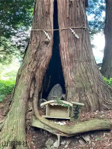 山家神社の建物その他