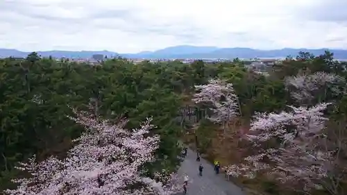 南禅寺の景色