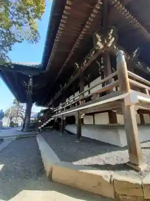 本願寺堺別院の{uncategorized: "未分類", other: "その他", undefined: "問題あり", building: "その他建物", grave: "お墓", sacred_gate: "鳥居", guardian: "狛犬", statue: "像", buddha: "仏像", history: "歴史", nature: "自然", garden: "庭園", animal: "動物", pagoda: "塔", temizu: "手水舎", mountain_gate: "山門・神門", sanctuary: "本殿・本堂", subordinate: "末社・摂社", art: "芸術", scenery: "景色", jizo: "地蔵", ema: "絵馬", goshuin: "御朱印", omikuji: "おみくじ", items: "授与品その他", amulet: "お守り", goshuincho: "御朱印帳", eats: "食事", festival: "お祭り", votive_dance: "神楽", shichigosan: "七五三参", wedding: "結婚式", experience: "体験その他", initially: "初詣", around: "周辺", anti_infection: "感染症対策"}