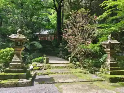 美奈宜神社の{uncategorized: "未分類", other: "その他", undefined: "問題あり", building: "その他建物", grave: "お墓", sacred_gate: "鳥居", guardian: "狛犬", statue: "像", buddha: "仏像", history: "歴史", nature: "自然", garden: "庭園", animal: "動物", pagoda: "塔", temizu: "手水舎", mountain_gate: "山門・神門", sanctuary: "本殿・本堂", subordinate: "末社・摂社", art: "芸術", scenery: "景色", jizo: "地蔵", ema: "絵馬", goshuin: "御朱印", omikuji: "おみくじ", items: "授与品その他", amulet: "お守り", goshuincho: "御朱印帳", eats: "食事", festival: "お祭り", votive_dance: "神楽", shichigosan: "七五三参", wedding: "結婚式", experience: "体験その他", initially: "初詣", around: "周辺", anti_infection: "感染症対策"}