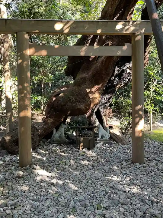 月夜見宮(豊受大神宮別宮)の自然