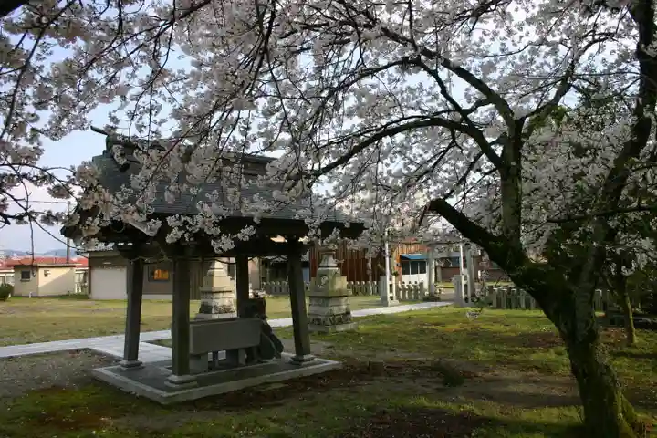 石田神社の自然