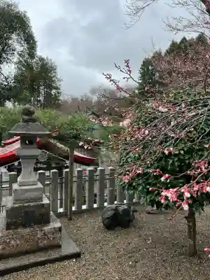 金蛇水神社(宮城県)