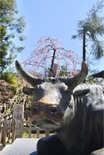 布多天神社の狛犬