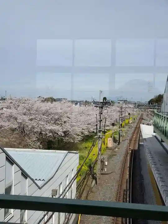 鷲宮神社(埼玉県)
