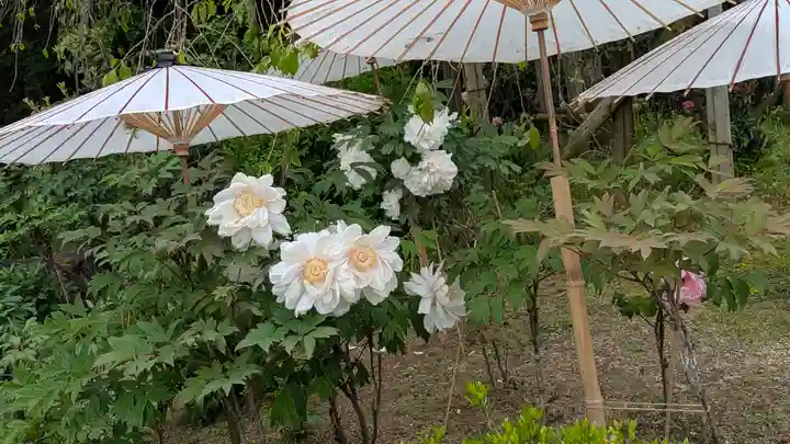 當麻寺奥院(奈良県)