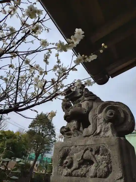 高円寺天祖神社(東京都)