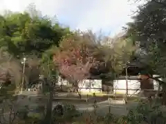 平野神社(京都府)