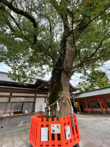 宇佐神宮の庭園