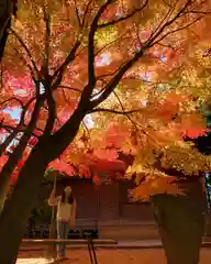 滑川神社 - 仕事と子どもの守り神の自然