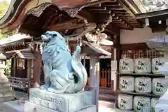 日根神社の狛犬