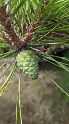 禅林寺(愛知県)