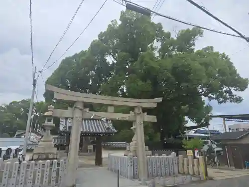 阿麻美許曽神社(大阪府)