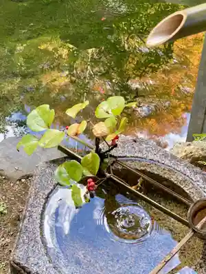 正覚庵(京都府)