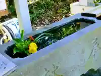 櫻井子安神社の手水舎