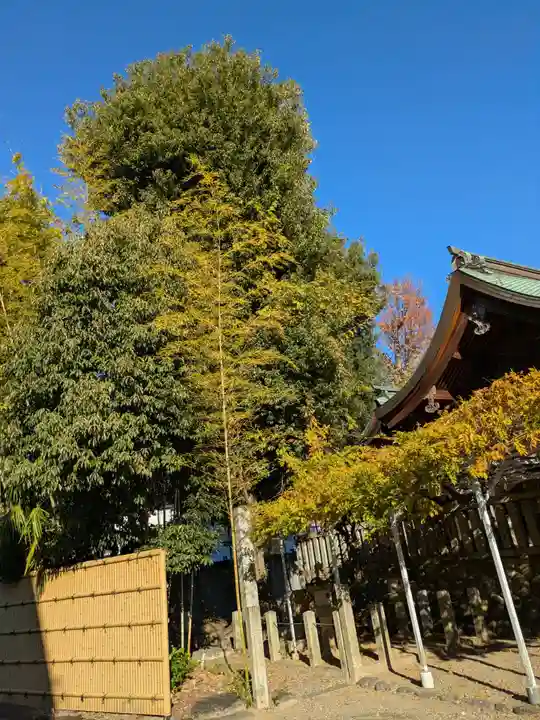 葛懸神社(岐阜県)