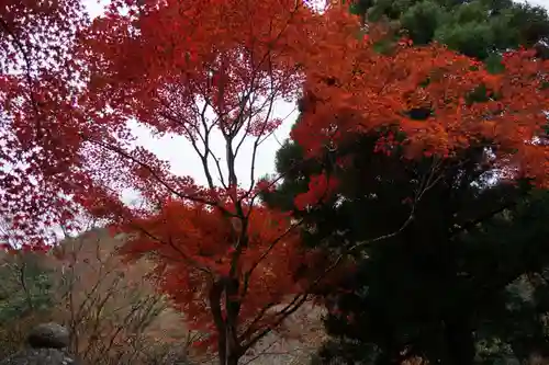 白龍神社(京都府)