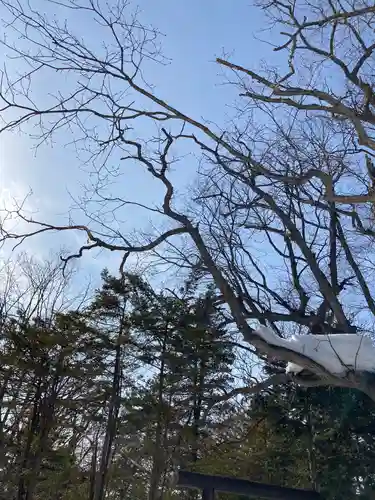 栗沢神社の自然