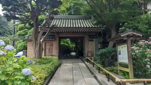 報国寺(神奈川県)