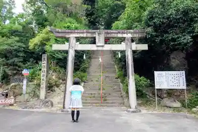 曽野稲荷神社の鳥居
