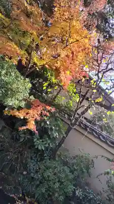 霊源院(京都府)