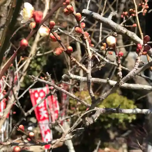 鹿島大神宮の自然
