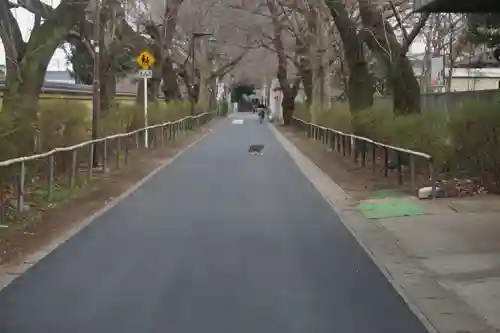 本土寺のその他建物