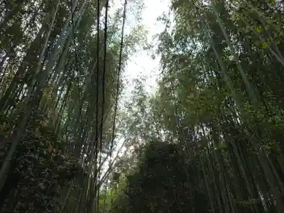 野宮神社(京都府)