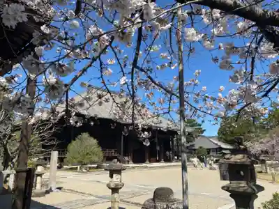 西大寺の本殿・本堂