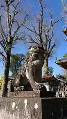 津森神宮の狛犬